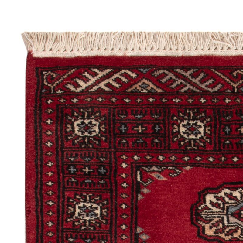 Pakistan teppe 62x86cm - Orientalsk teppe