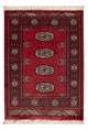 Pakistan teppe 85x64cm - Orientalsk teppe