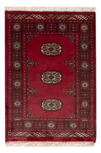 Pakistan teppe 64x88cm - Orientalsk teppe – product image