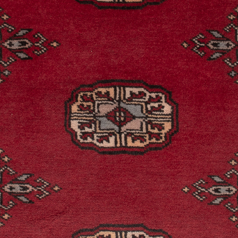 Pakistan teppe 64x88cm - Orientalsk teppe