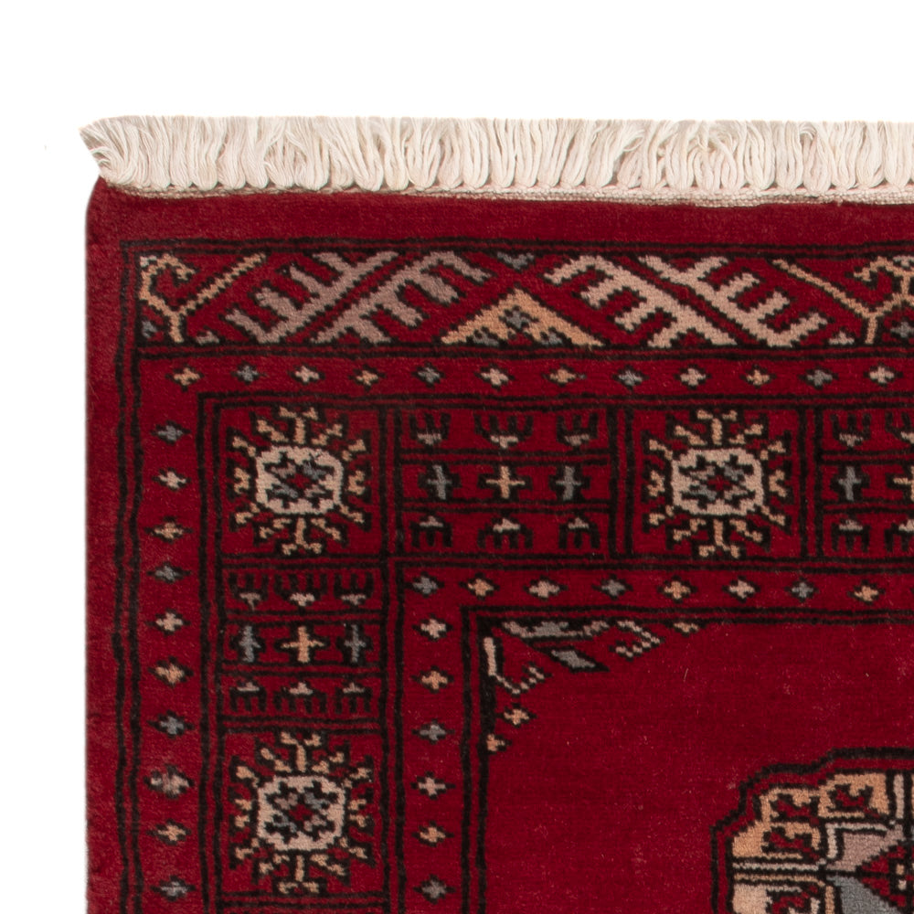 Pakistan teppe 64x88cm - Orientalsk teppe