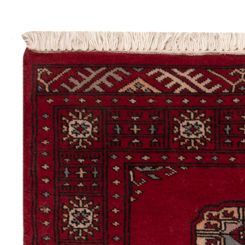 Pakistan teppe 64x88cm - Orientalsk teppe