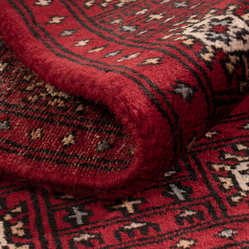 Pakistan teppe 64x88cm - Orientalsk teppe