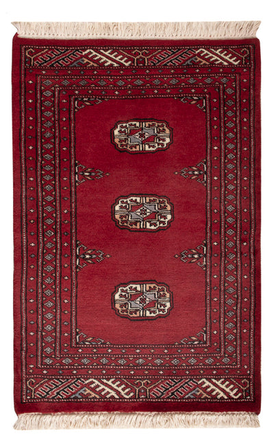 Pakistan teppe 64x94cm - Orientalsk teppe