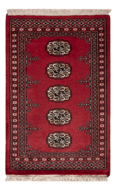 Pakistan teppe 62x95cm - Orientalsk teppe