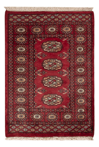 Pakistan teppe 64x88cm - Orientalsk teppe