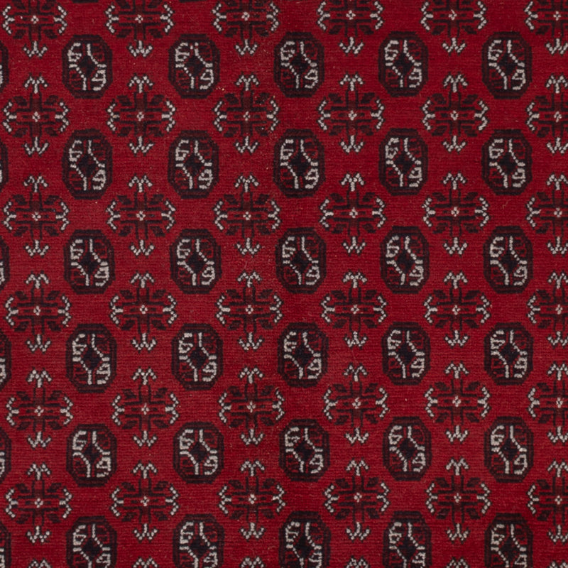 Akhche Teppe 245x302cm - Orientalsk teppe