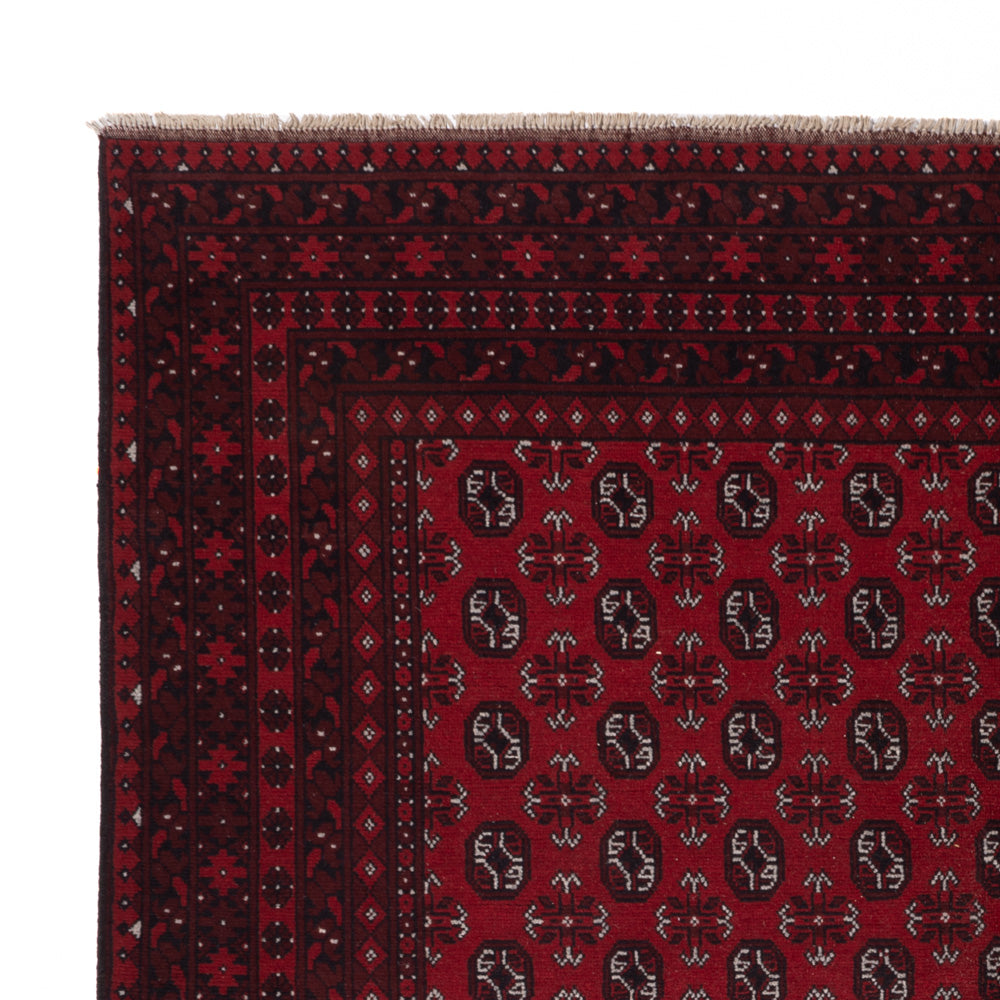 Akhche Teppe 245x302cm - Orientalsk teppe