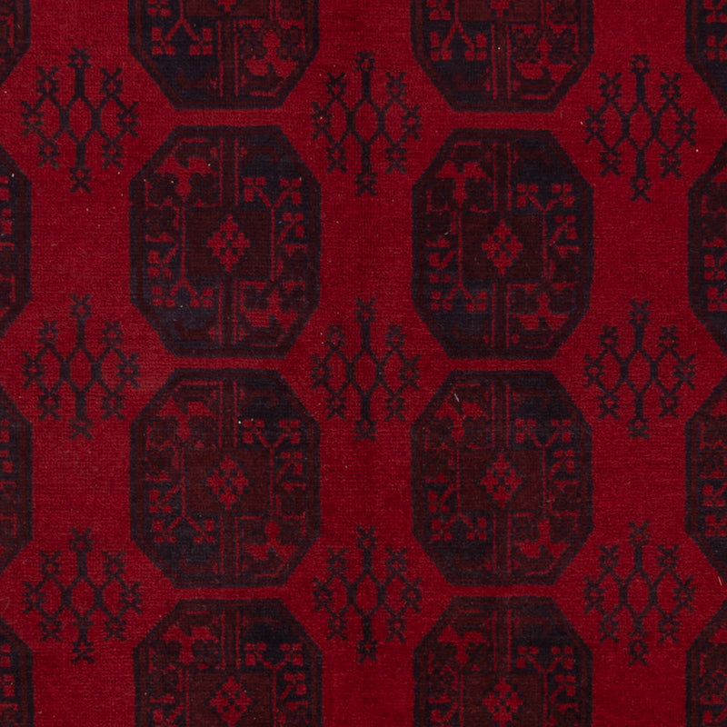 Akhche Teppe 250x300cm - Orientalsk teppe