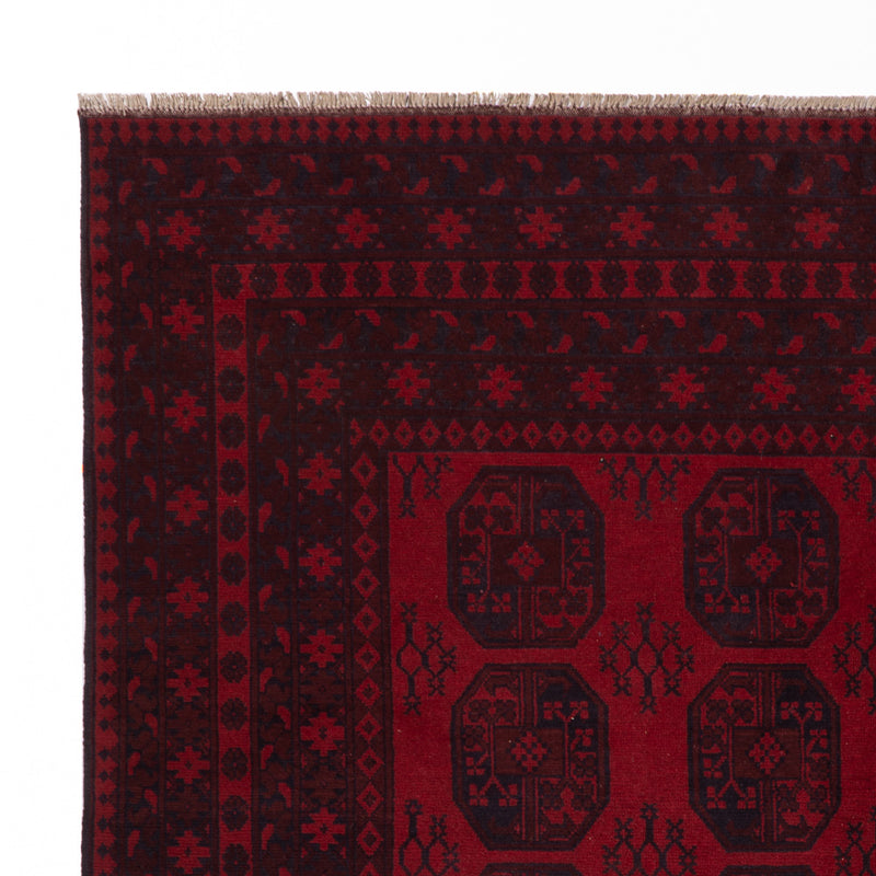 Akhche Teppe 250x300cm - Orientalsk teppe