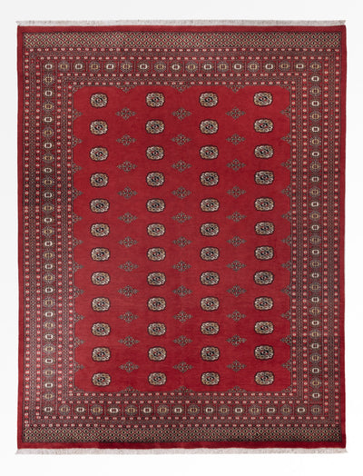 Pakistan teppe 251x331cm - Orientalsk teppe
