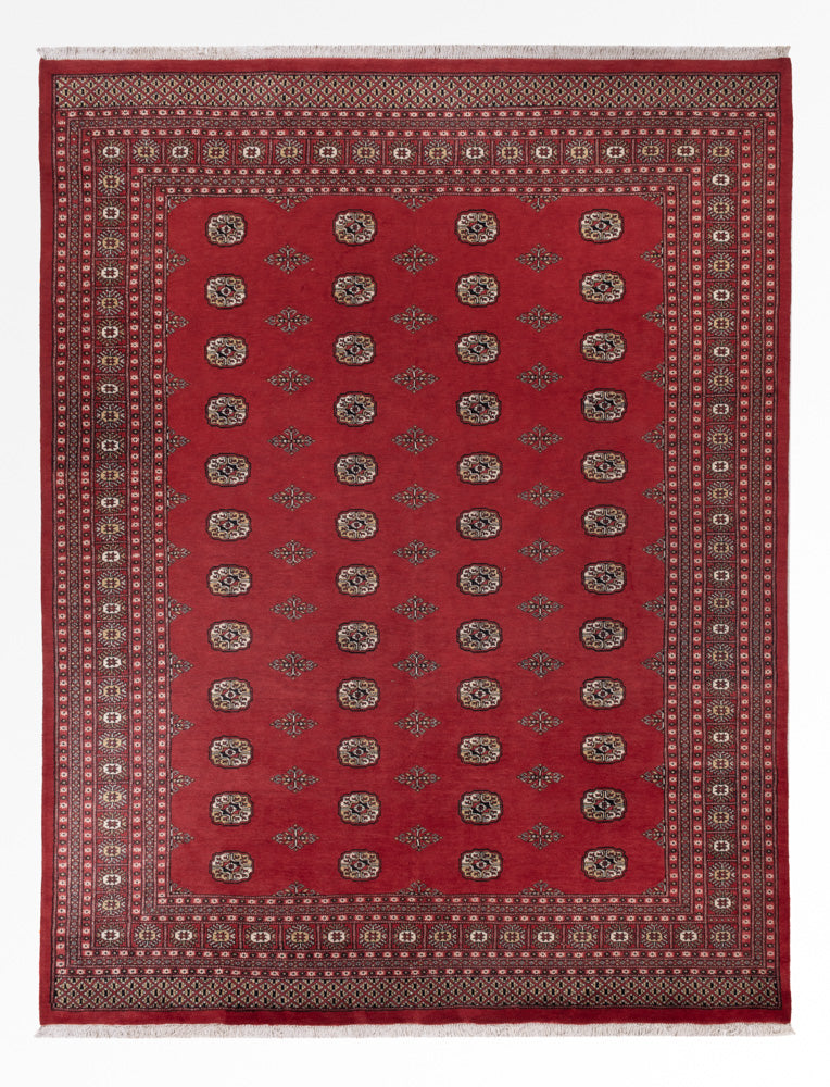 Pakistan teppe 331x251cm - Orientalsk teppe