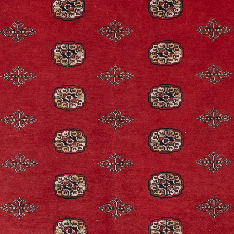 Pakistan teppe 331x251cm - Orientalsk teppe