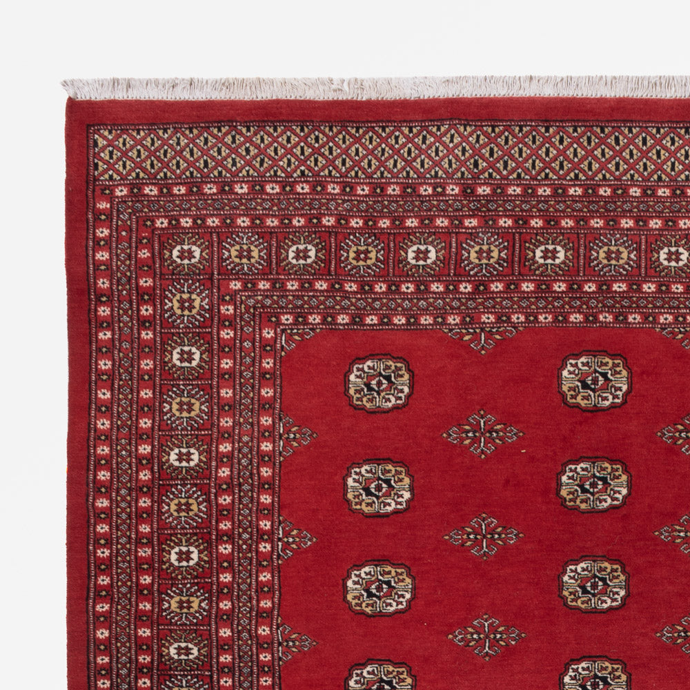 Pakistan teppe 331x251cm - Orientalsk teppe