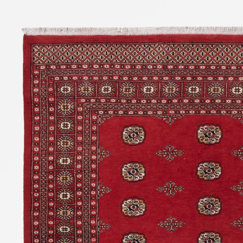 Pakistan teppe 331x251cm - Orientalsk teppe
