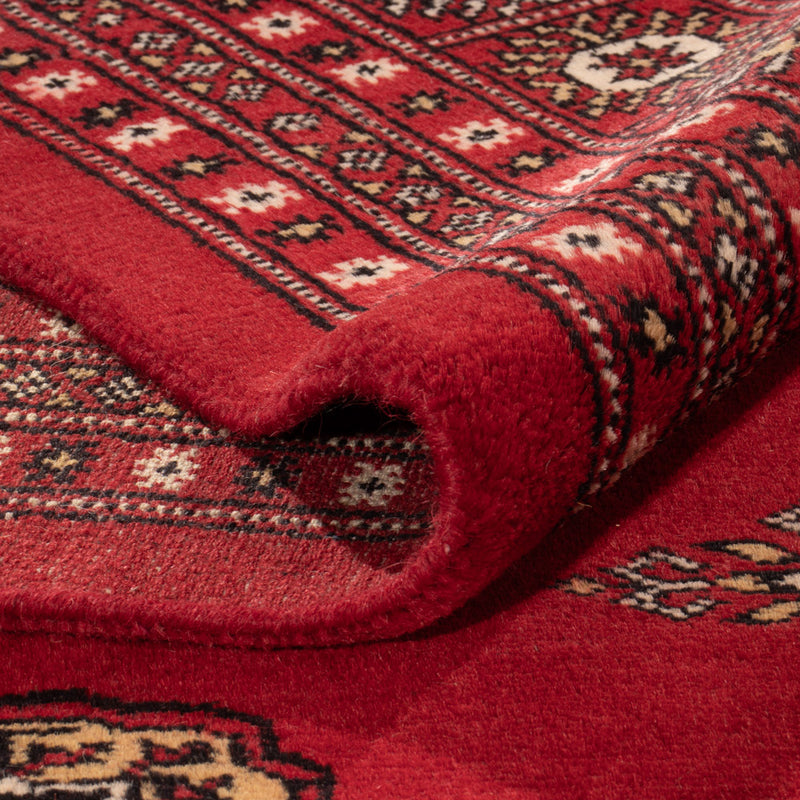 Pakistan teppe 331x251cm - Orientalsk teppe