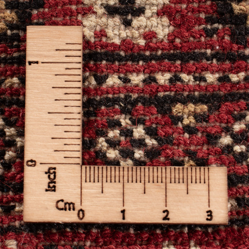 Pakistan teppe 331x251cm - Orientalsk teppe