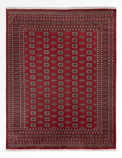 Pakistan teppe 248x318cm - Orientalsk teppe