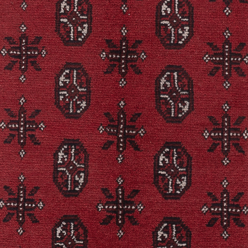 Akhche Teppe 199x149cm - Orientalsk teppe