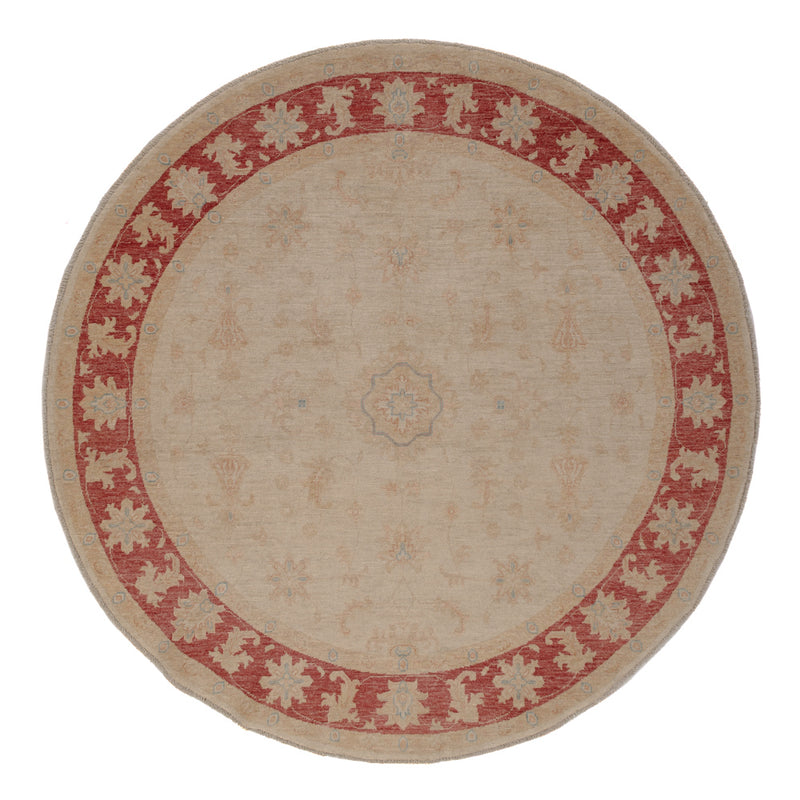 Ziegler Teppe 206x199cm - Orientalsk teppe