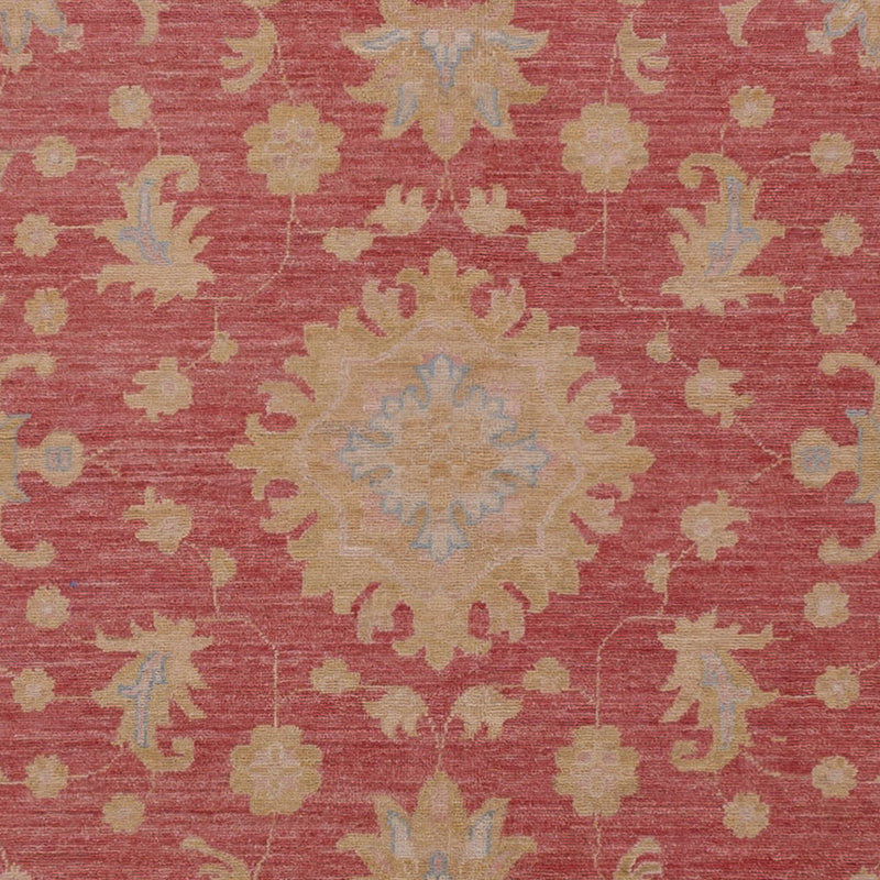 Ziegler Teppe 367x256cm - Orientalsk teppe