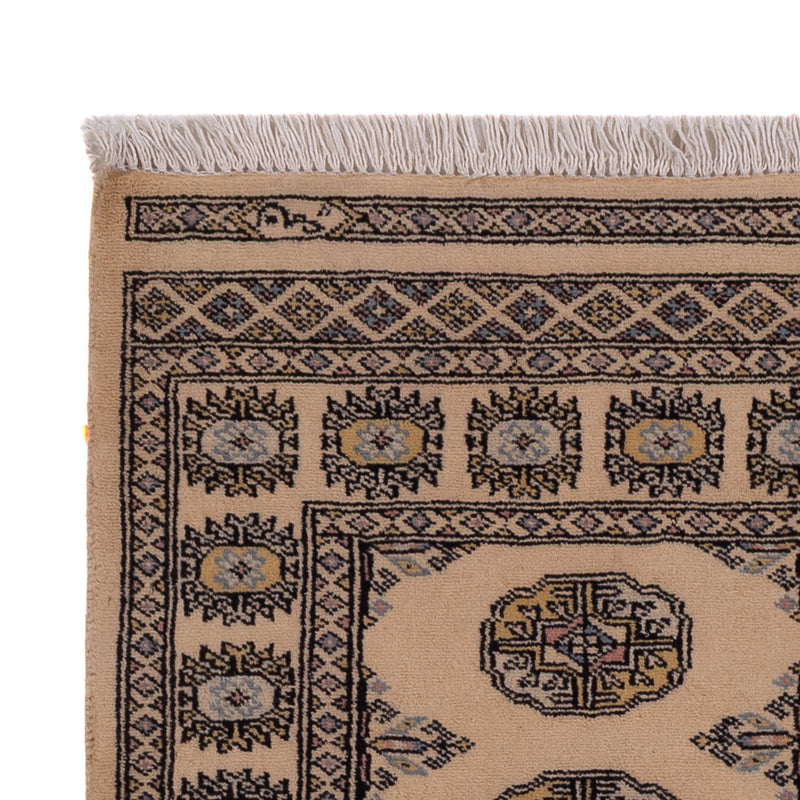 Pakistan teppe 164x96cm - Orientalsk teppe
