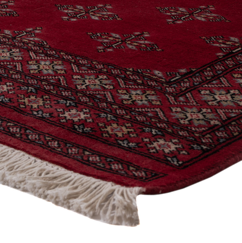 Pakistan teppe 152x95cm - Orientalsk teppe