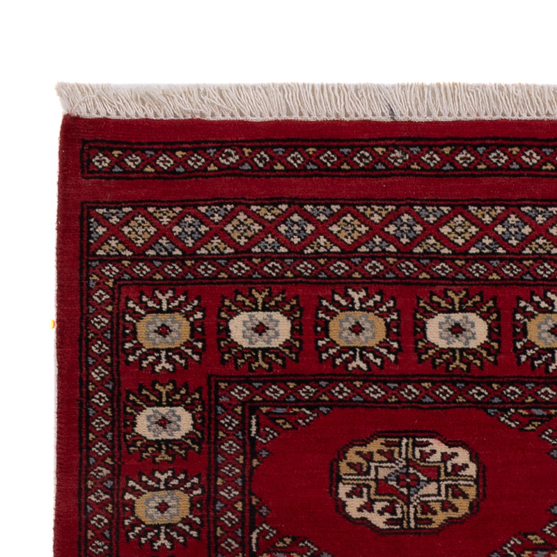 Pakistan teppe 155x97cm - Orientalsk teppe