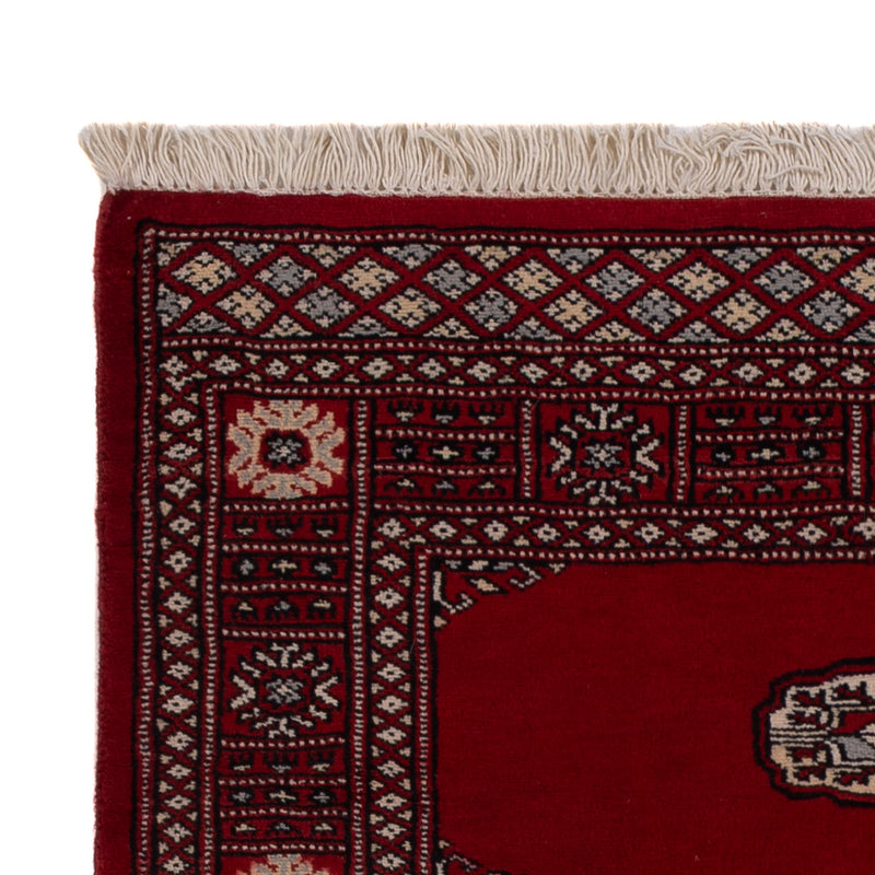 Pakistan teppe 147x96cm - Orientalsk teppe