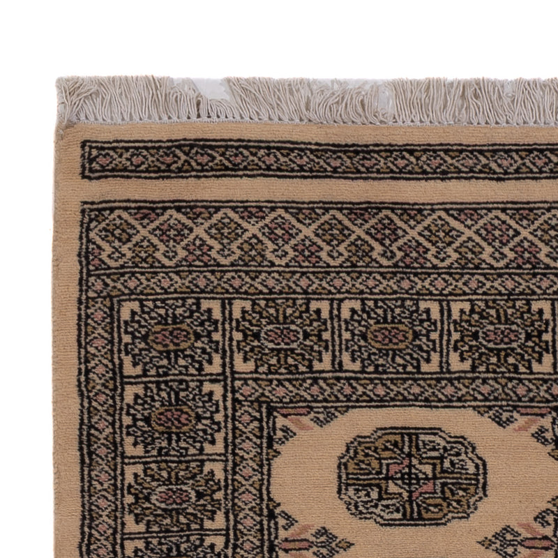 Pakistan teppe 147x93cm - Orientalsk teppe