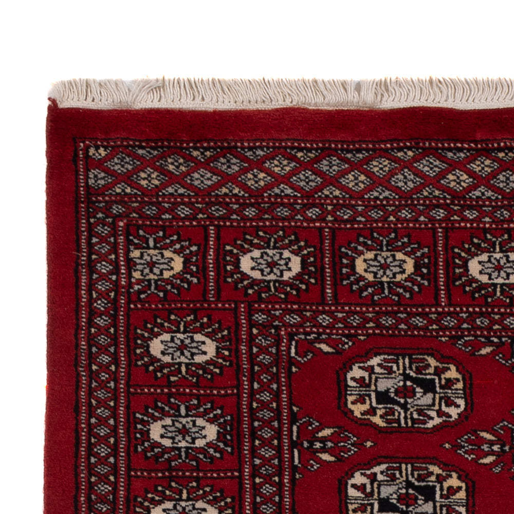 Pakistan teppe 154x93cm - Orientalsk teppe