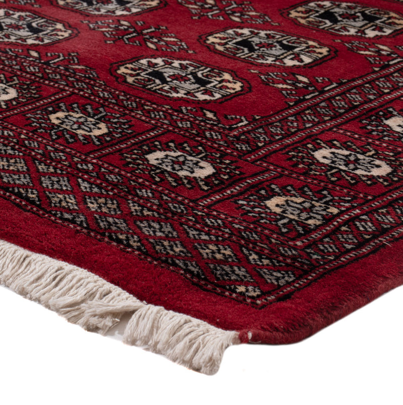 Pakistan teppe 154x93cm - Orientalsk teppe