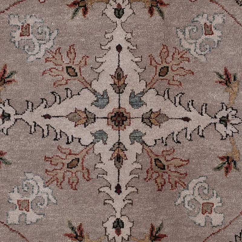 Ziegler Teppe 273x201cm - Orientalsk teppe
