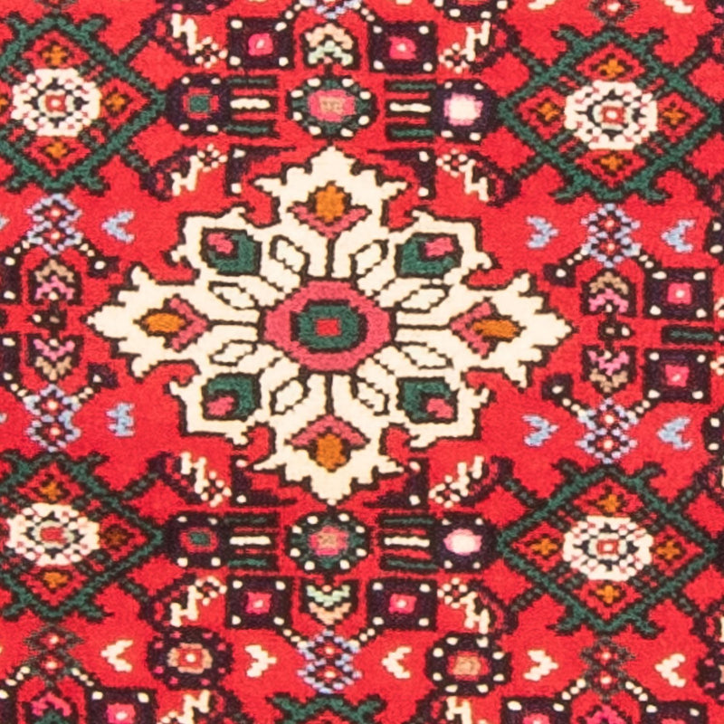 Hosseinabad Teppe 71x291cm - Persisk teppe