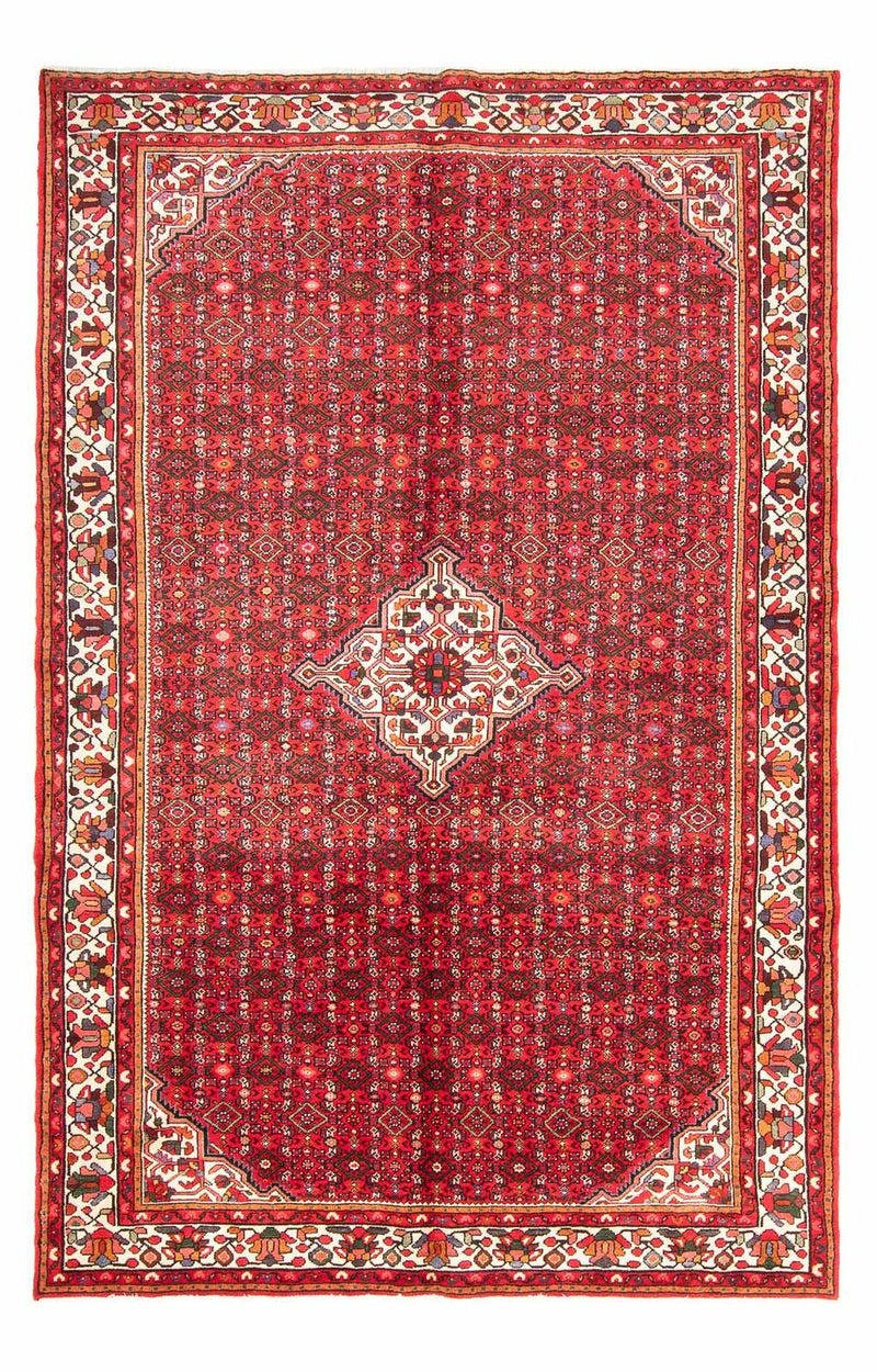 Hosseinabad Teppe 306x198cm - Persisk teppe