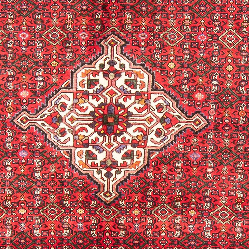 Hosseinabad Teppe 306x198cm - Persisk teppe