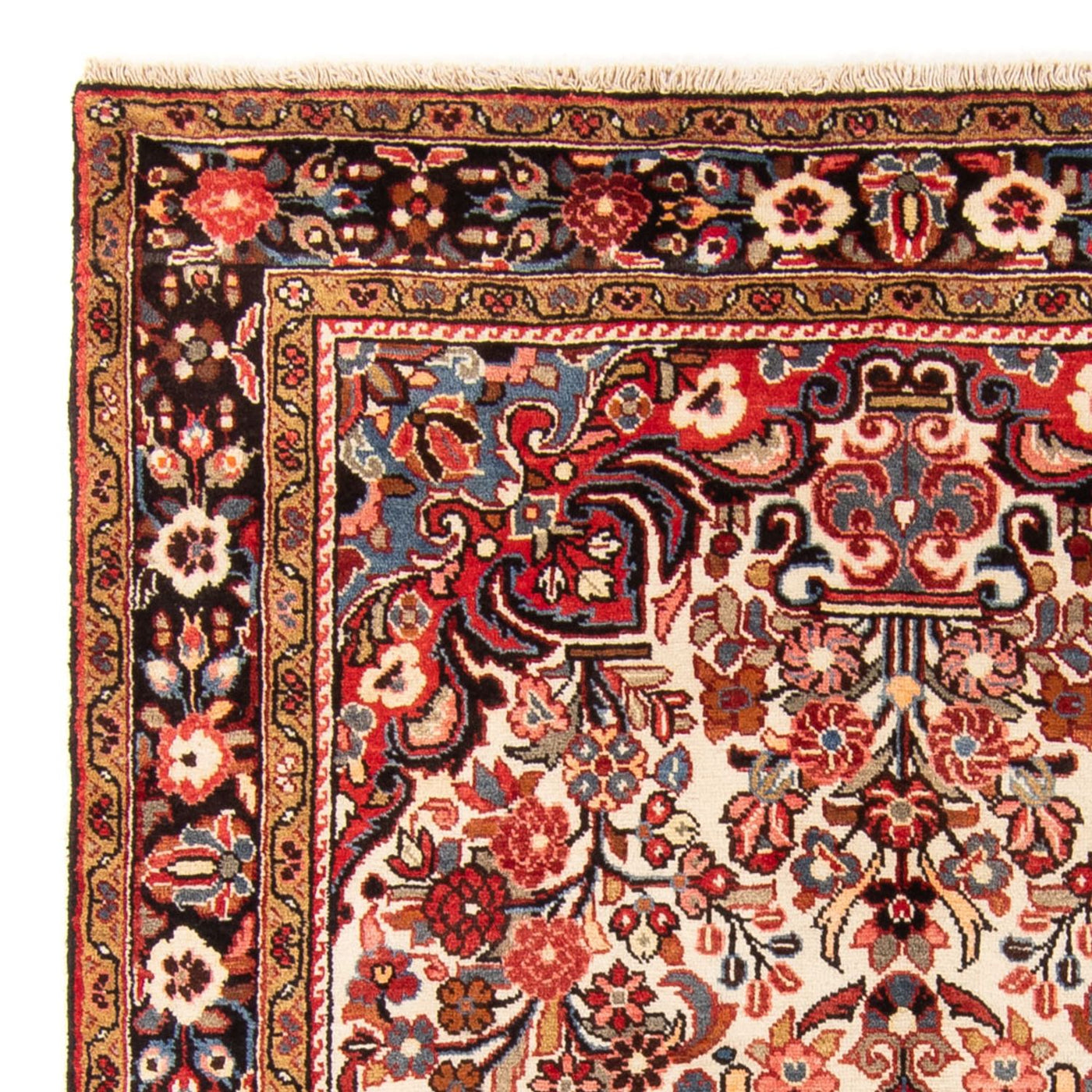 Borchalou Teppe 244x154cm - Persisk teppe