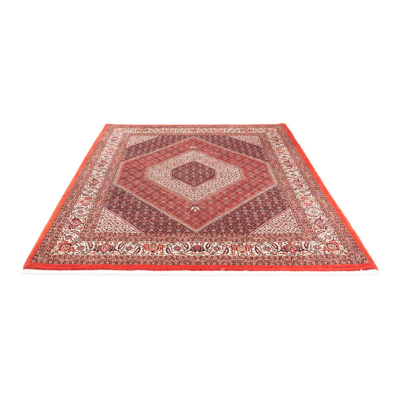 Bidjar - Takab Teppe 175x240cm - Persisk teppe