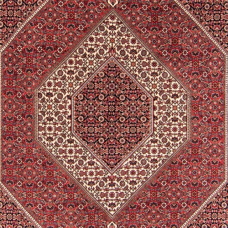 Bidjar - Takab Teppe 252x174cm - Persisk teppe