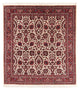 Bidjar - Takab Teppe 153x159cm - Persisk teppe - beige