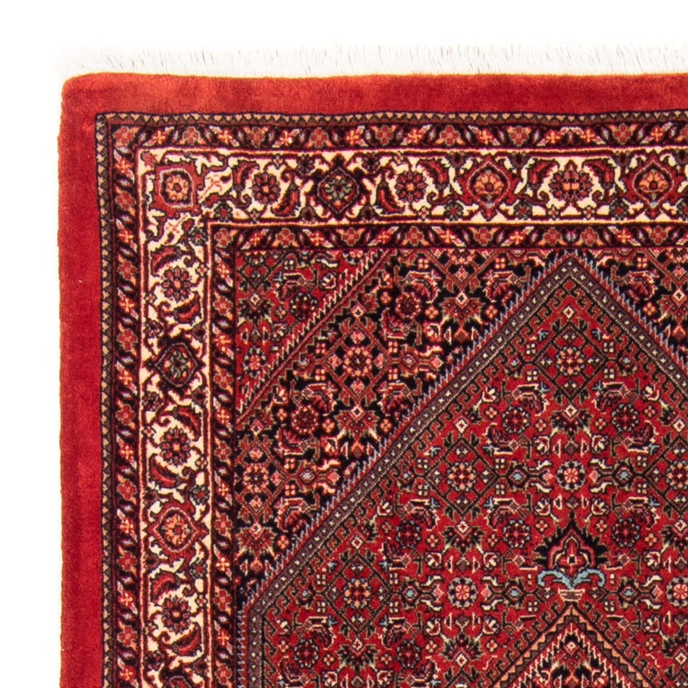 Bidjar - Takab Teppe 150x90cm - Persisk teppe