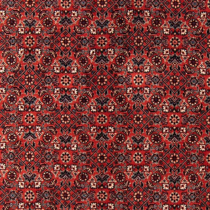 Bidjar - Takab Teppe 102x205cm - Persisk teppe