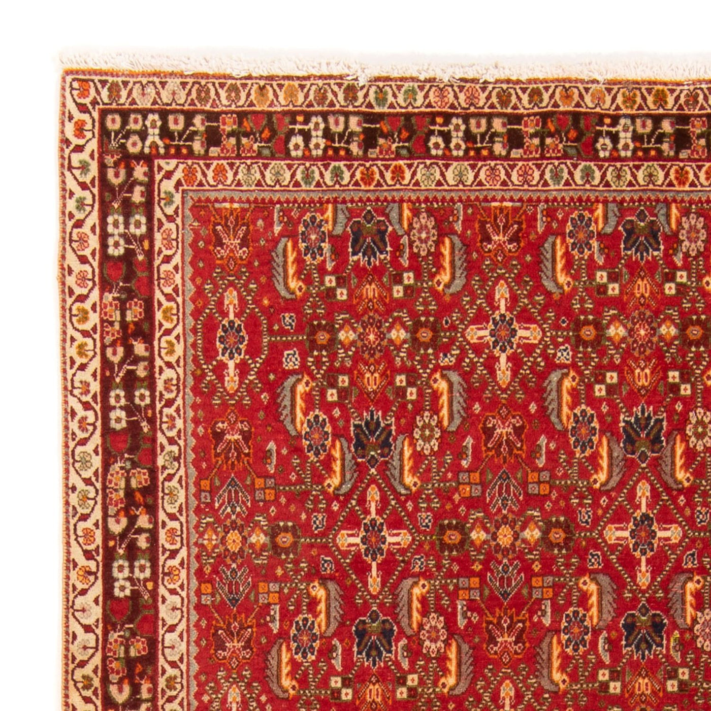 Kashkuli Teppe 192x130cm - Persisk teppe
