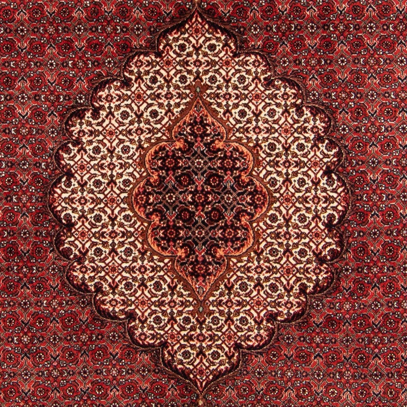 Bidjar - Takab Teppe 209x153cm - Persisk teppe