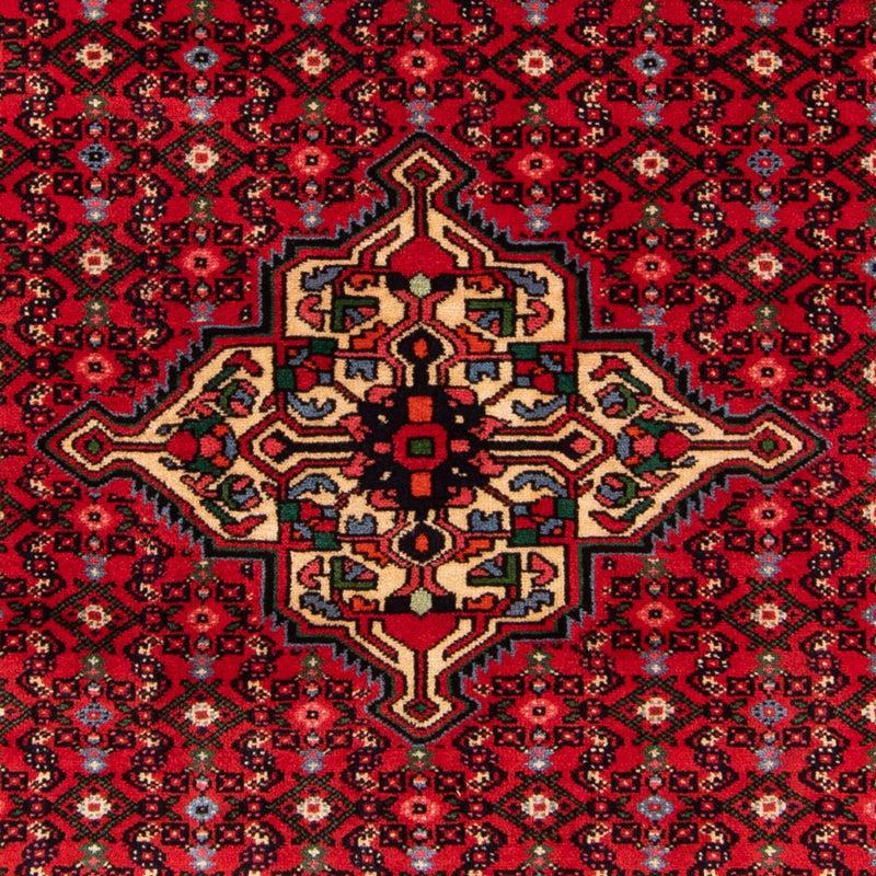 Hosseinabad Teppe 154x207cm - Persisk teppe