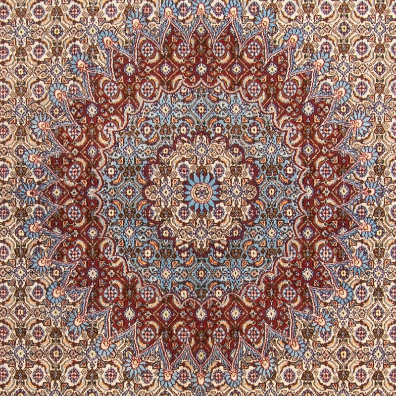 Moud Teppe 303x195cm - Persisk teppe