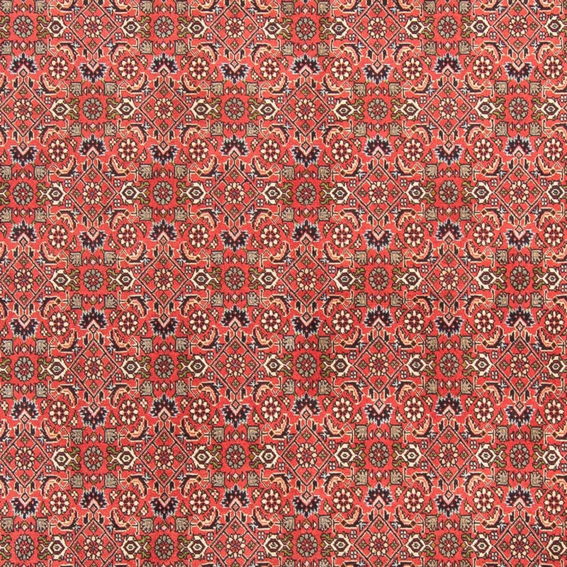 Bidjar - Takab Teppe 300x198cm - Persisk teppe