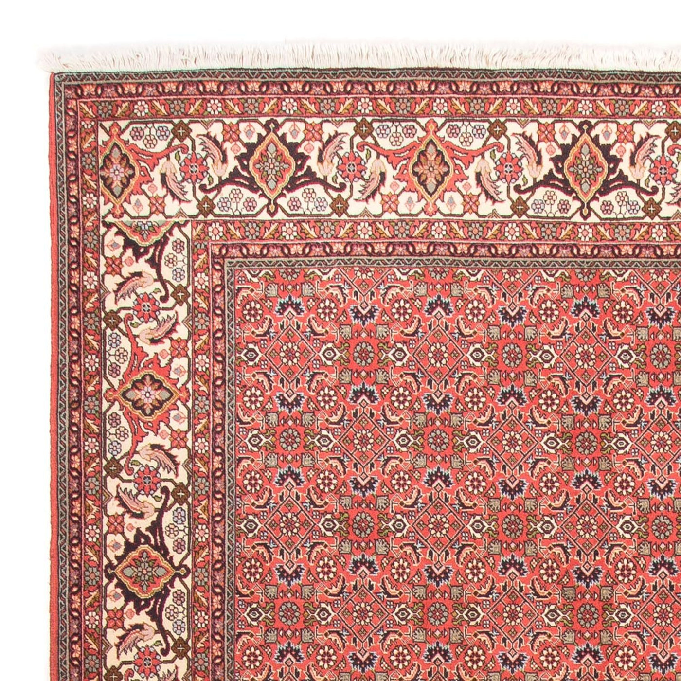 Bidjar - Takab Teppe 300x198cm - Persisk teppe