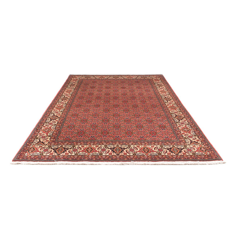 Bidjar - Takab Teppe 300x198cm - Persisk teppe