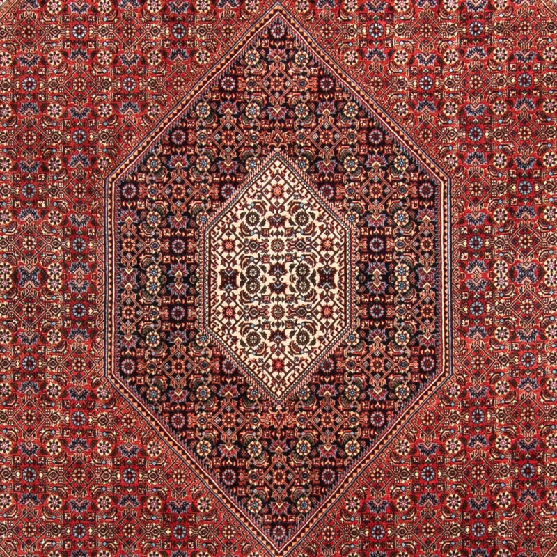 Bidjar - Takab Teppe 310x205cm - Persisk teppe